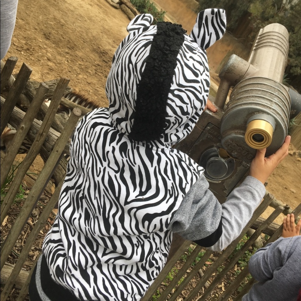 Zebra Vest - Picture 4 of 7